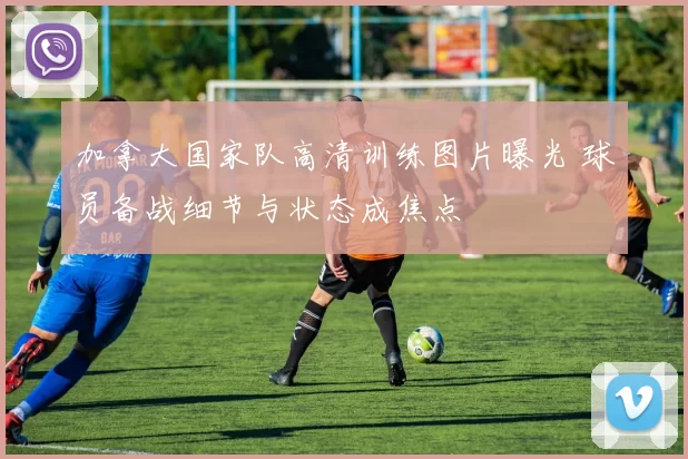 加拿大国家队高清训练图片曝光 球员备战细节与状态成焦点