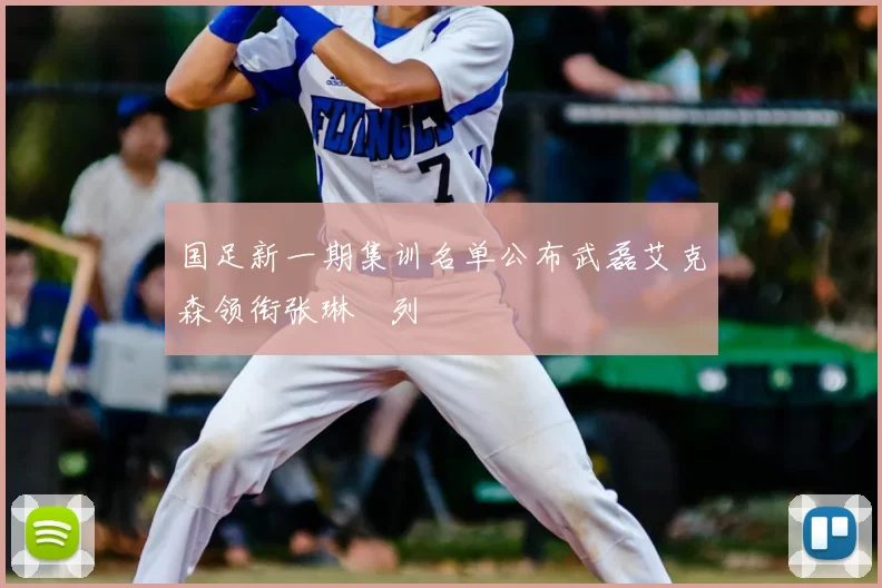 国足新一期集训名单公布武磊艾克森领衔张琳芃列