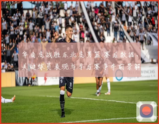 华南虎战胜东北虎男篮 赛后数据、关键球员表现与季后赛争夺前景解读
