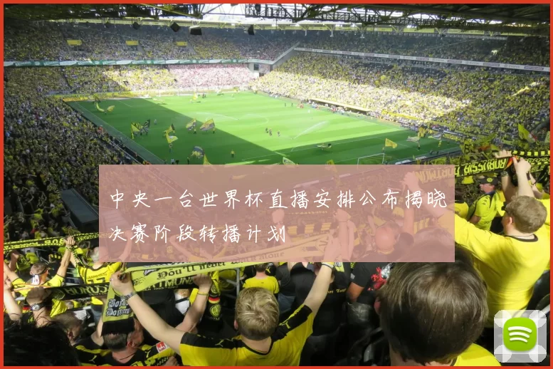 中央一台世界杯直播安排公布揭晓决赛阶段转播计划