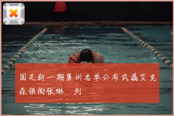 国足新一期集训名单公布武磊艾克森领衔张琳芃列